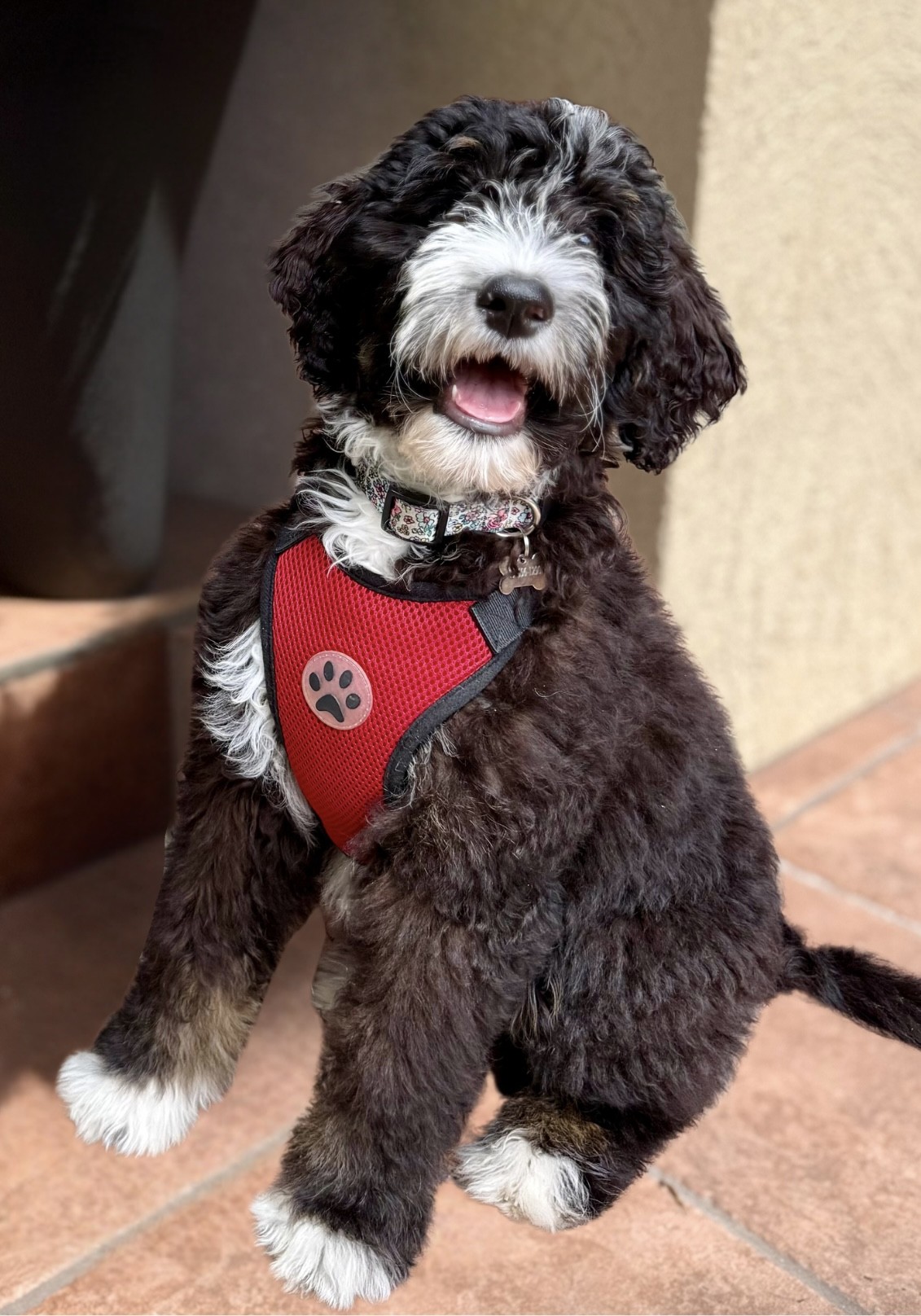 ruby